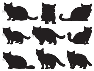 BRITISH SHORTHAIR CAT SILHOUETTE.