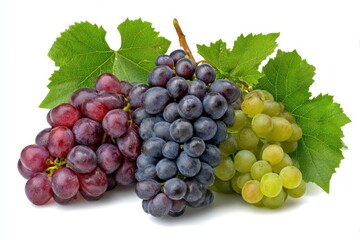 Fototapeta premium Three bunches of red black and green grapes with fresh green leaves isolated on white background