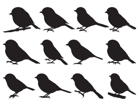 CHIKADEE BIRD SILHOUETTE