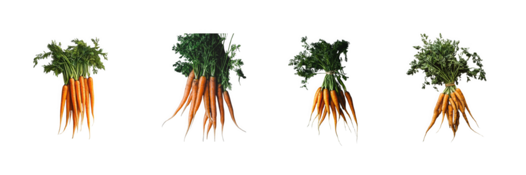A set of studio image of fresh carrots with leafy tops – transparent background for packaging and web use