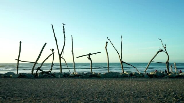 Hakuna matata driftwood sign on a sandy beach