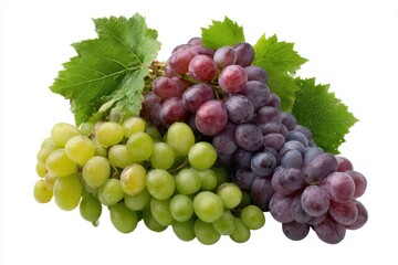 Obraz premium Freshly picked green and red grapes with water droplets and green leaves isolated on white background