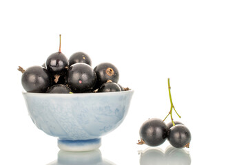 Ripe black currant isolated on white background, macro.
