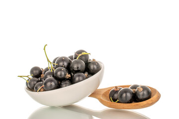 Ripe black currant isolated on white background, macro.