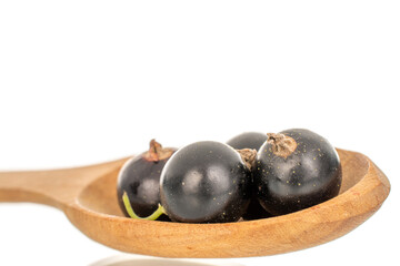 Ripe black currant isolated on white background, macro.