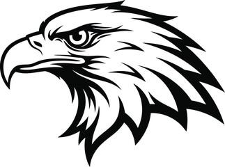 Obraz premium A strong eagle head in profile, isolated on white background, represents freedom and vision