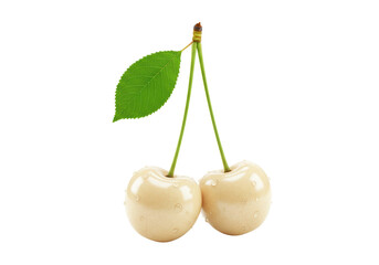 Isolated Two White Cherries Dew Drops