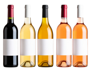  Set of assorted wine bottles with blank labels standing in row isolated on white background