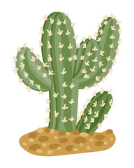 Hand drawn cactus with green stems and beige thorns growing in desert sand, isolated on white background. Concept of desert nature, survival and minimalistic wild beauty