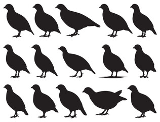 PARTRIDGE BIRD SILHOUETTE