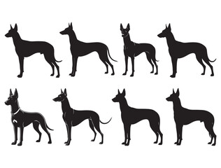 PHARAOH HOUND DOG SILHOUETTE
