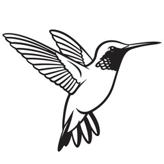 Obraz premium Hummingbird vector illustration, black and white line art, elegant design element