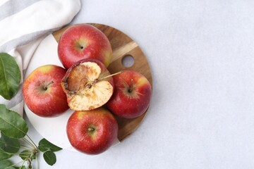 Spoiled apple and good ones on white table, flat lay. Space for text
