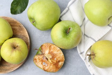 Spoiled apple and good ones on grey table, flat lay