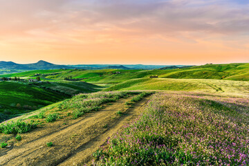 beautiful green evening meadow with bloom flowering field during amazing spring sunset among hills and farms with beautiful mountains with evening sky on baclground