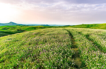 rustic road in spring meadow landscape with green grass, flowers, amazing hills and beautiful path leading to a village. Agricultural landscapw of europe.