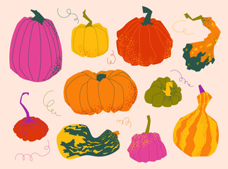Hand drawn vector set of colorful decorative pumpkins. Bright seasonal illustration in flat style
