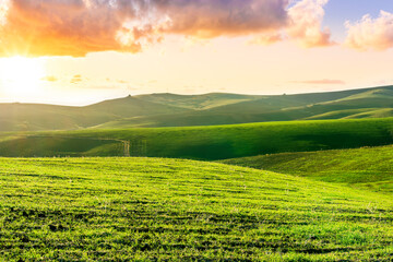 green field in countryside farm at sunset in evening light. beautiful spring landscape in hills. grassy field and hill. rural scenery