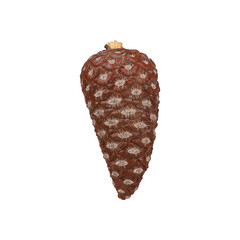 Closed pine cone, isolated background.