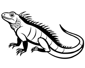 Black and white illustration of a detailed iguana silhouette isolated on white background