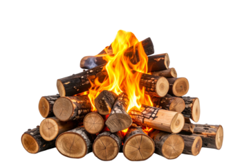 Traditional Campfire with Rising Curly Smoke and Burning Logs, Isolated on Transparent Background