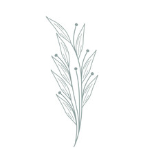 Fototapeta premium Leaf illustration for wedding invitation decoration. Minimalist leaf illustration. Beautiful leaf illustration. Botanical leaf illustration. Line art leaf illustration