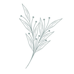 Leaf illustration for wedding invitation decoration. Minimalist leaf illustration. Beautiful leaf illustration. Botanical leaf illustration. Line art leaf illustration