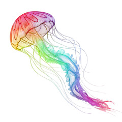 A colorful jellyfish with many colors