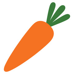 carrots vector illustration