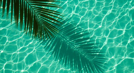 Palm Frond Over Water Surface with Ripples and Shadow