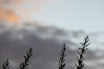 The sky is cloudy and the sun is setting