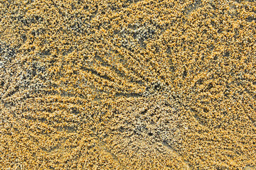 Crab trails at Cherating Beach in Kuantan, Pahang generate abstract image.