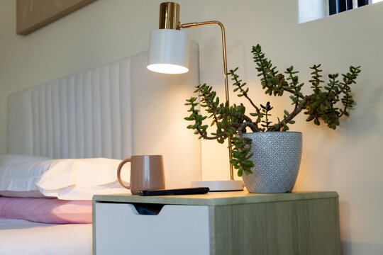 Succulent plant sitting on bedside nightstand beside modern lamp, mug, and smartphone