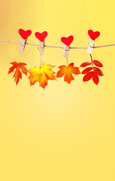 Dry leaves hanging on a clothespin.