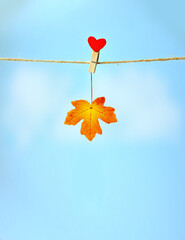 Dry leaf hanging on a clothespin.