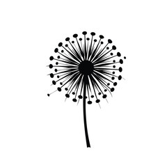 Black and white abstract floral design with dandelion pattern and natural decoration