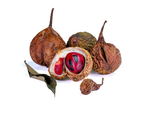 Several dried nutmegs with one open revealing the nutmeg seed and bright red mace, with dried leaves as decoration, isolated on a white background