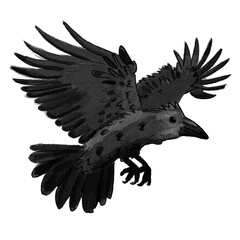 A raven flying and flapping it's wings