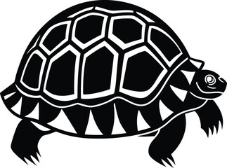 Indian Star Tortoise Illustration | Exotic Tortoise Vector Art | Rare Reptile Clipart | Wildlife Turtle Drawing | Star Patterned Shell Design | Endangered Animal Graphic