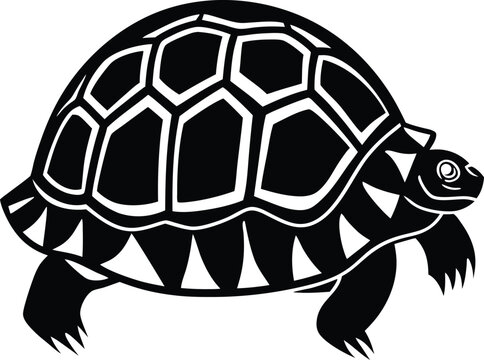 "Indian Star Tortoise" Images – Browse 535 Stock Photos, Vectors, and