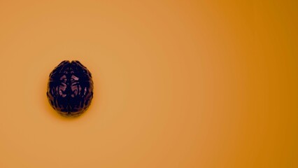 a black reflective brain on orange background