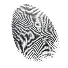 Single Black Ink Fingerprint on White Background