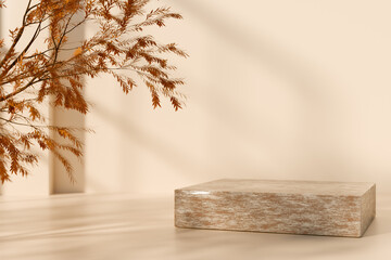 Minimalist autumn display with branches and a platform in soft natural light. 3d rendering