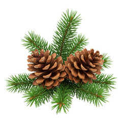 Two realistic pine cones with green pine needles isolated on transparent background
