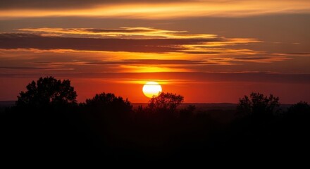 Golden Sunset Over Silhouetted Trees and Horizon