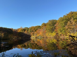 new england autumn pond reflection