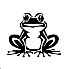 frog on white background