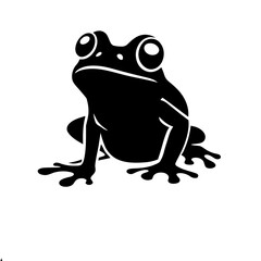 frog on white background
