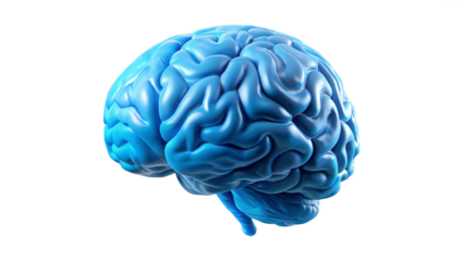 human brain on blue background