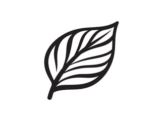 Delicate Floral Leaf Icon Vector Line Art
